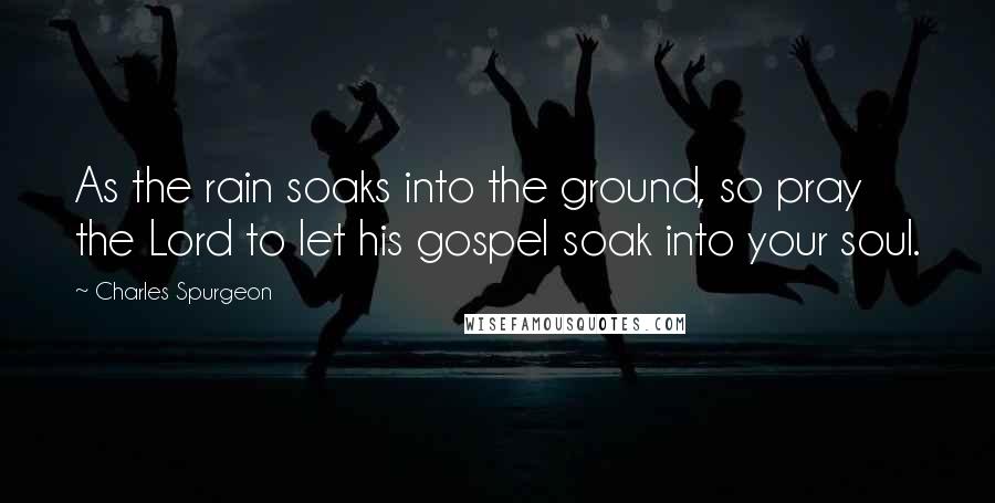 Charles Spurgeon Quotes: As the rain soaks into the ground, so pray the Lord to let his gospel soak into your soul.