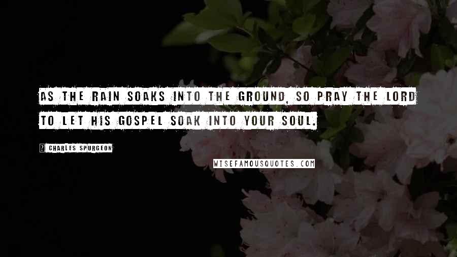 Charles Spurgeon Quotes: As the rain soaks into the ground, so pray the Lord to let his gospel soak into your soul.