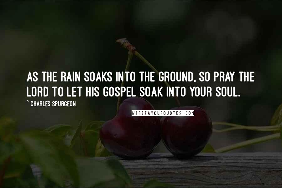 Charles Spurgeon Quotes: As the rain soaks into the ground, so pray the Lord to let his gospel soak into your soul.