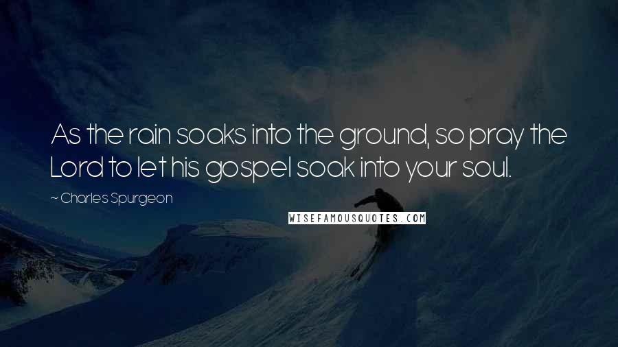 Charles Spurgeon Quotes: As the rain soaks into the ground, so pray the Lord to let his gospel soak into your soul.