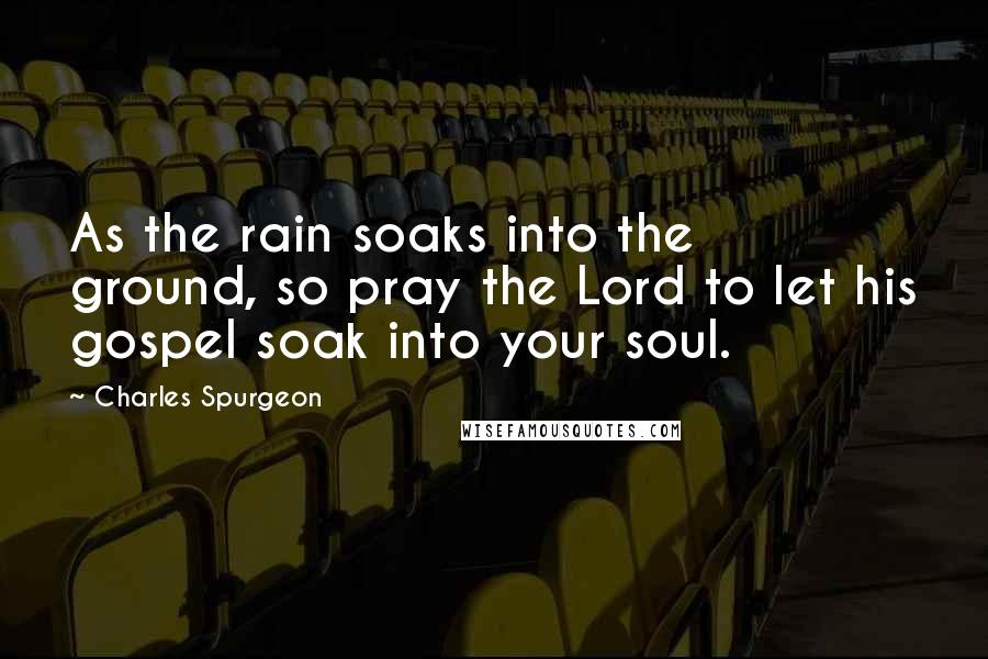 Charles Spurgeon Quotes: As the rain soaks into the ground, so pray the Lord to let his gospel soak into your soul.