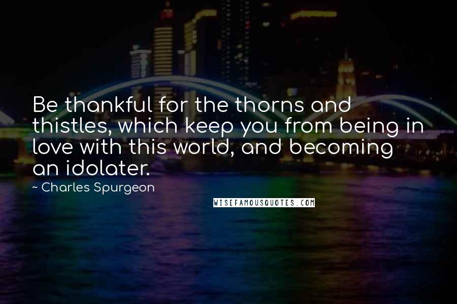 Charles Spurgeon Quotes: Be thankful for the thorns and thistles, which keep you from being in love with this world, and becoming an idolater.