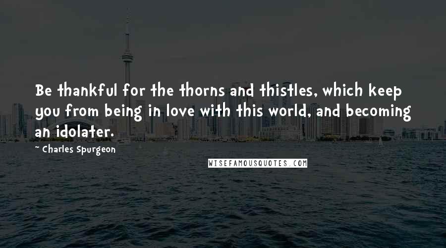 Charles Spurgeon Quotes: Be thankful for the thorns and thistles, which keep you from being in love with this world, and becoming an idolater.