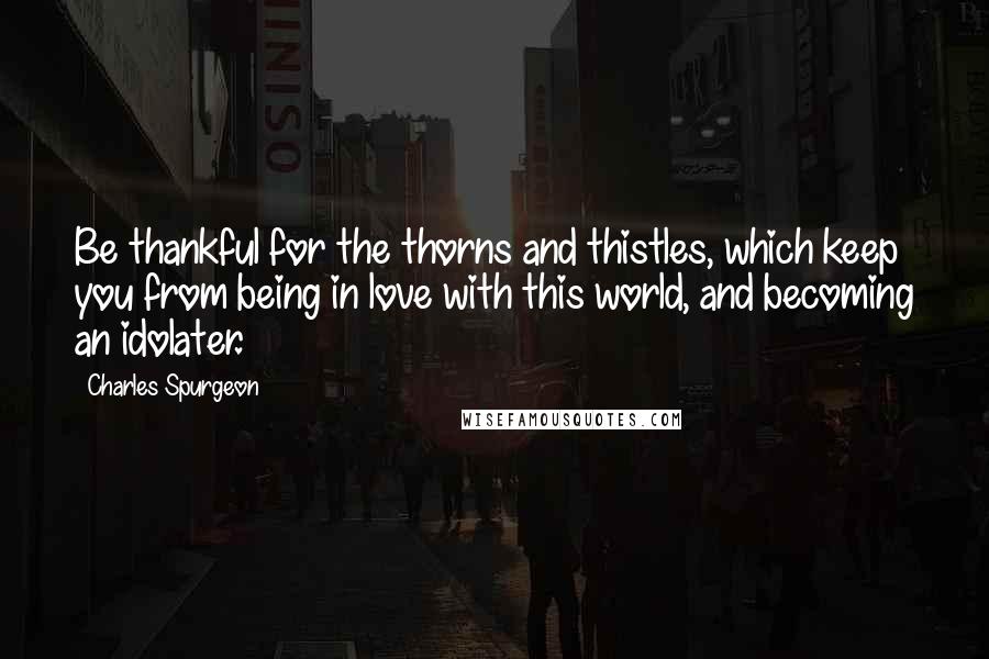 Charles Spurgeon Quotes: Be thankful for the thorns and thistles, which keep you from being in love with this world, and becoming an idolater.