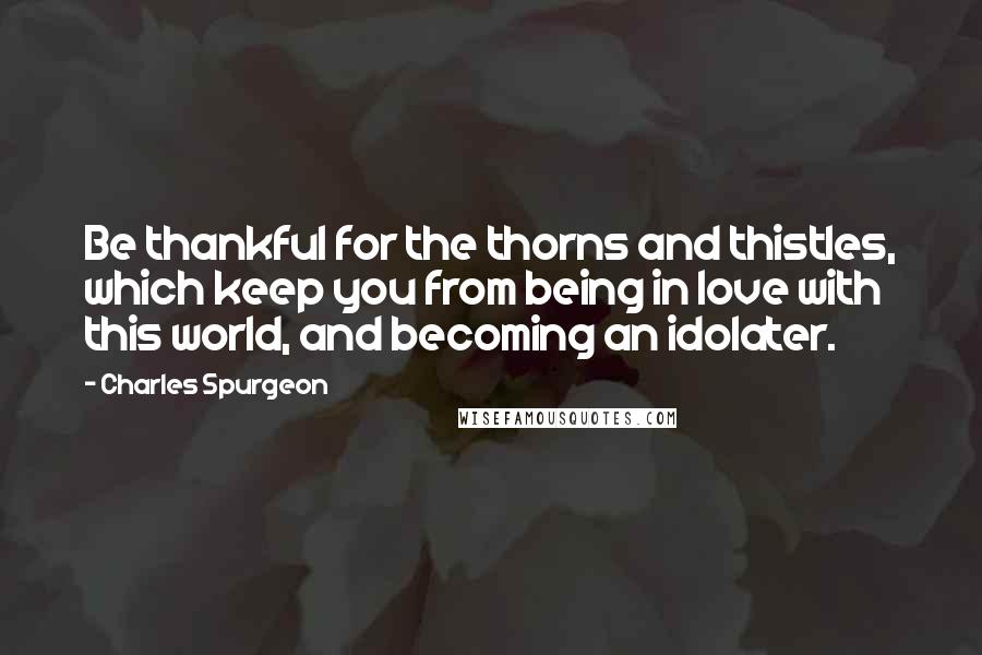 Charles Spurgeon Quotes: Be thankful for the thorns and thistles, which keep you from being in love with this world, and becoming an idolater.