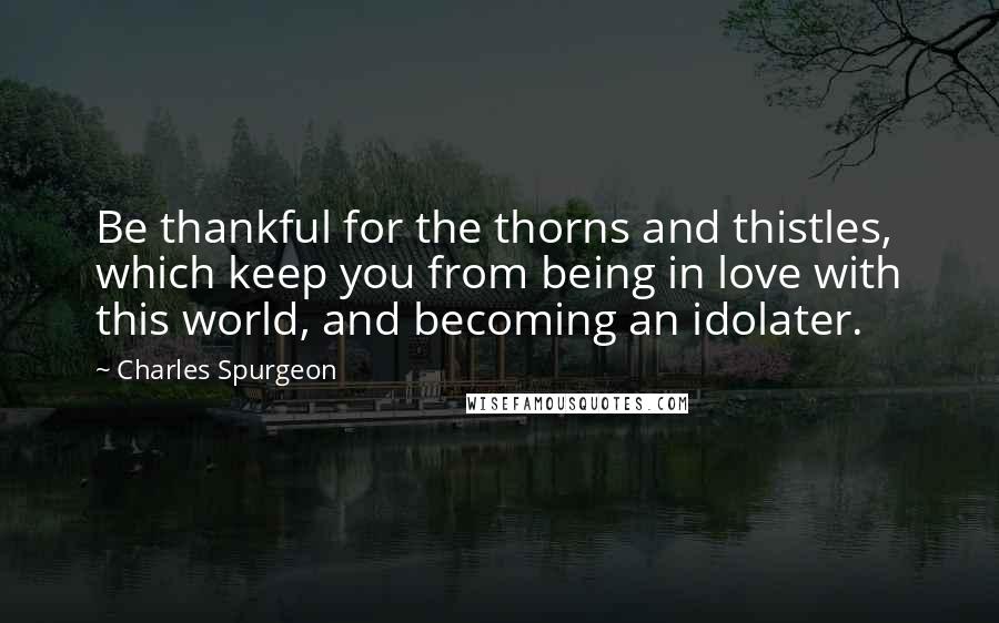 Charles Spurgeon Quotes: Be thankful for the thorns and thistles, which keep you from being in love with this world, and becoming an idolater.