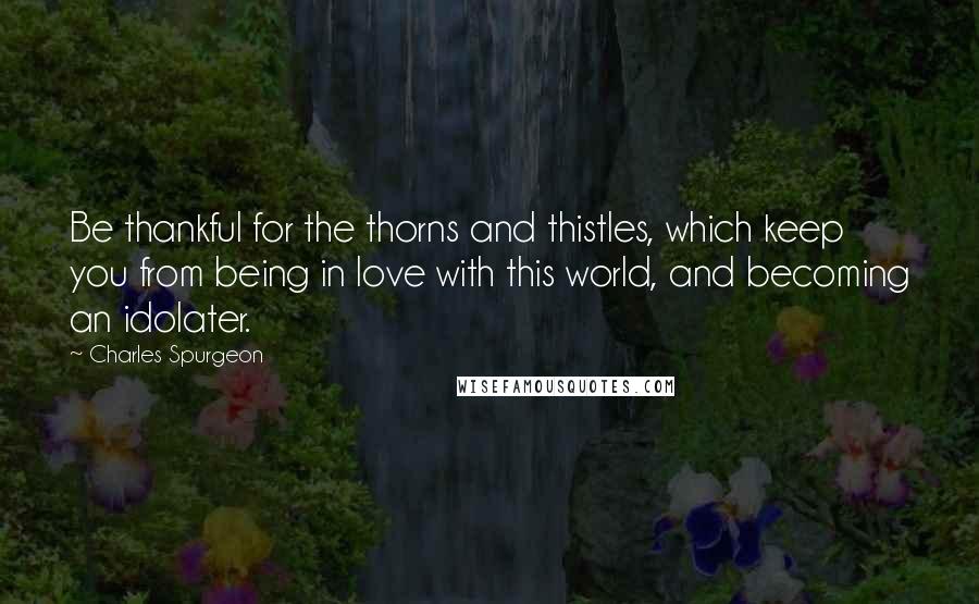 Charles Spurgeon Quotes: Be thankful for the thorns and thistles, which keep you from being in love with this world, and becoming an idolater.