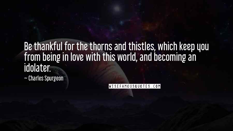 Charles Spurgeon Quotes: Be thankful for the thorns and thistles, which keep you from being in love with this world, and becoming an idolater.