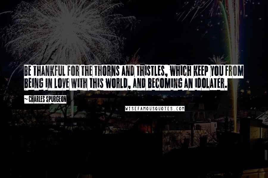 Charles Spurgeon Quotes: Be thankful for the thorns and thistles, which keep you from being in love with this world, and becoming an idolater.