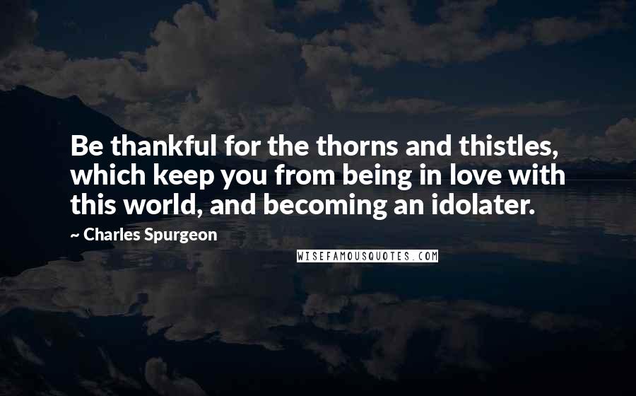 Charles Spurgeon Quotes: Be thankful for the thorns and thistles, which keep you from being in love with this world, and becoming an idolater.