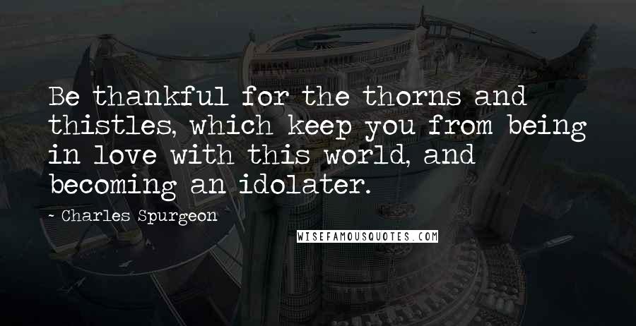 Charles Spurgeon Quotes: Be thankful for the thorns and thistles, which keep you from being in love with this world, and becoming an idolater.