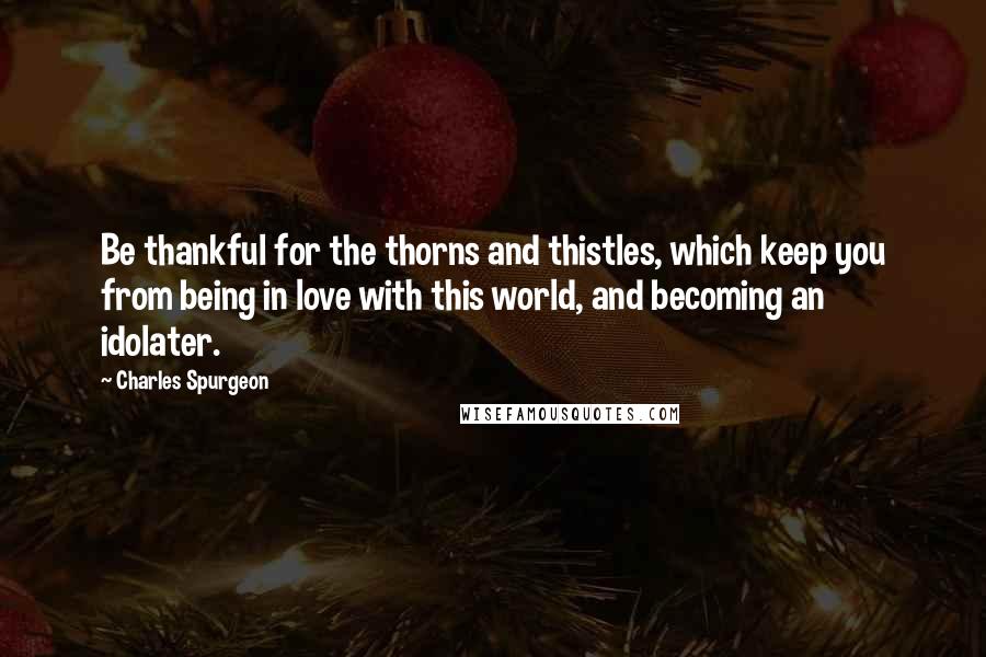 Charles Spurgeon Quotes: Be thankful for the thorns and thistles, which keep you from being in love with this world, and becoming an idolater.