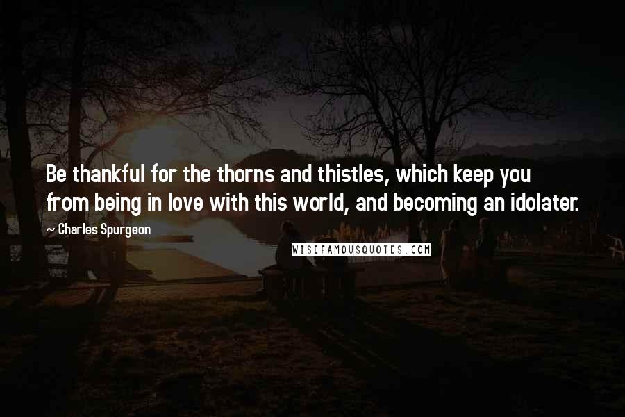 Charles Spurgeon Quotes: Be thankful for the thorns and thistles, which keep you from being in love with this world, and becoming an idolater.