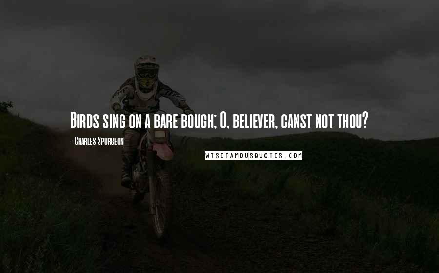 Charles Spurgeon Quotes: Birds sing on a bare bough; O, believer, canst not thou?