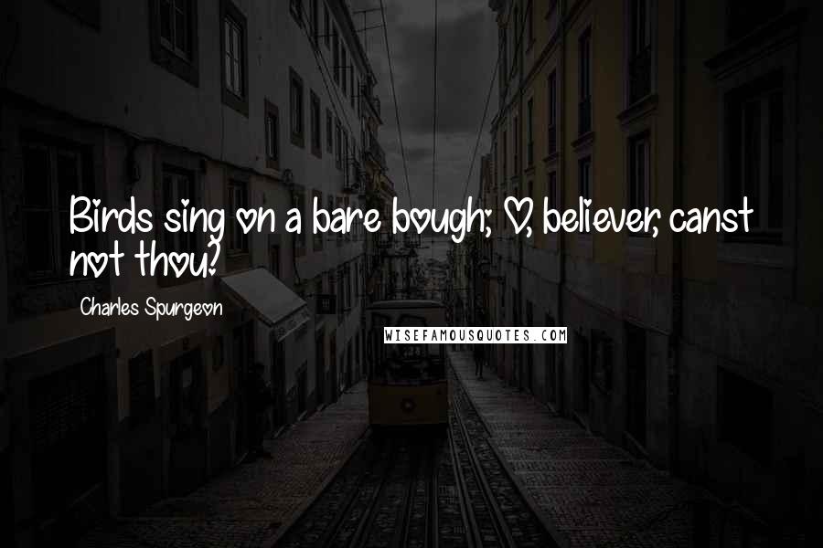 Charles Spurgeon Quotes: Birds sing on a bare bough; O, believer, canst not thou?