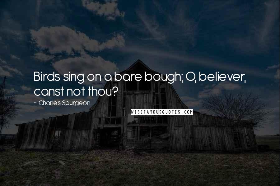 Charles Spurgeon Quotes: Birds sing on a bare bough; O, believer, canst not thou?