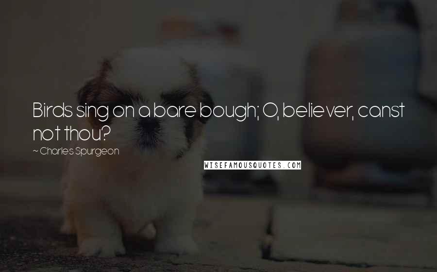 Charles Spurgeon Quotes: Birds sing on a bare bough; O, believer, canst not thou?