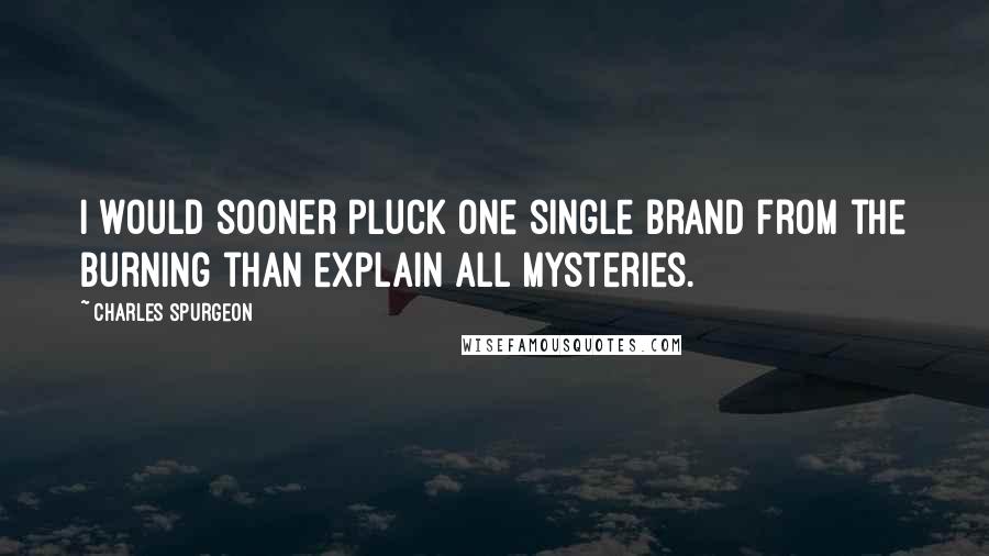 Charles Spurgeon Quotes: I would sooner pluck one single brand from the burning than explain all mysteries.