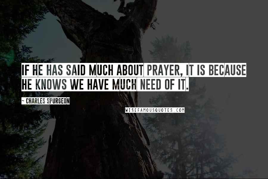 Charles Spurgeon Quotes: If He has said much about prayer, it is because He knows we have much need of it.