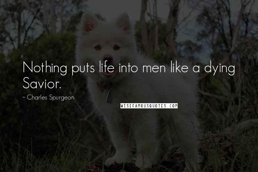 Charles Spurgeon Quotes: Nothing puts life into men like a dying Savior.