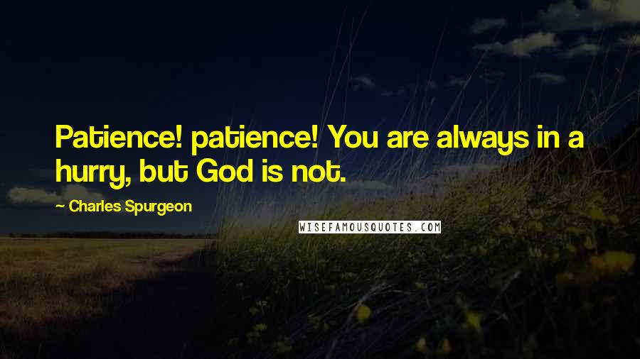 Charles Spurgeon Quotes: Patience! patience! You are always in a hurry, but God is not.