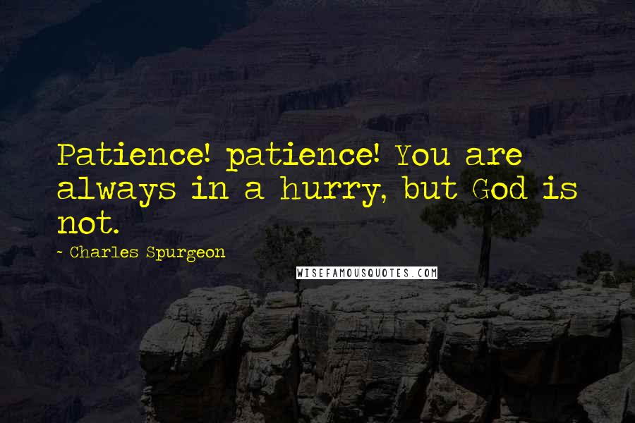 Charles Spurgeon Quotes: Patience! patience! You are always in a hurry, but God is not.