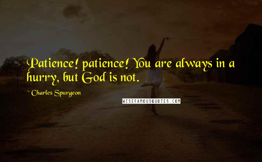 Charles Spurgeon Quotes: Patience! patience! You are always in a hurry, but God is not.