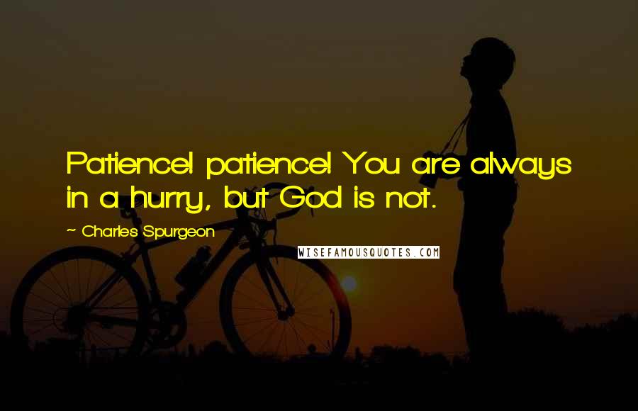 Charles Spurgeon Quotes: Patience! patience! You are always in a hurry, but God is not.