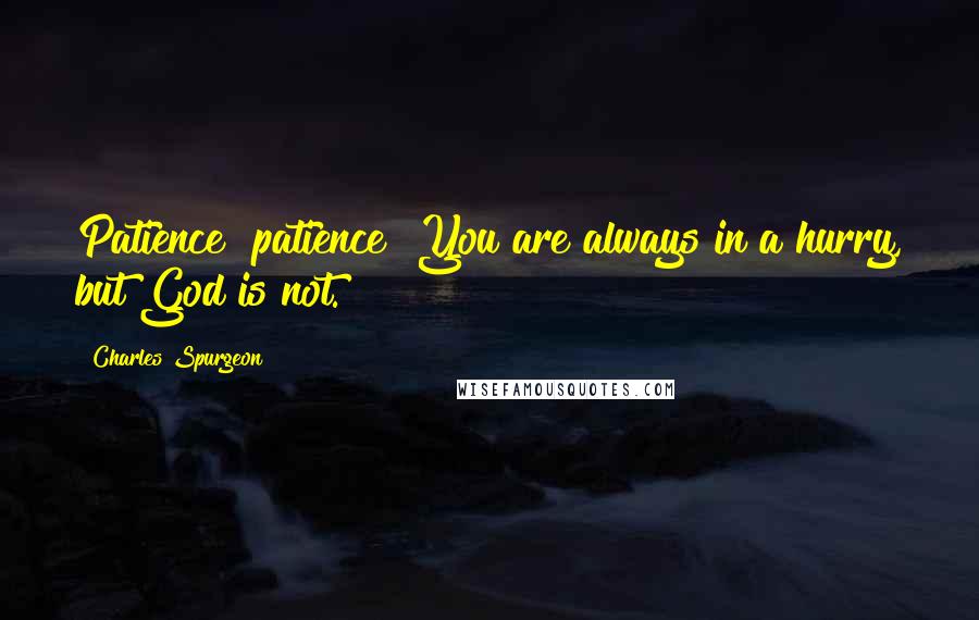 Charles Spurgeon Quotes: Patience! patience! You are always in a hurry, but God is not.