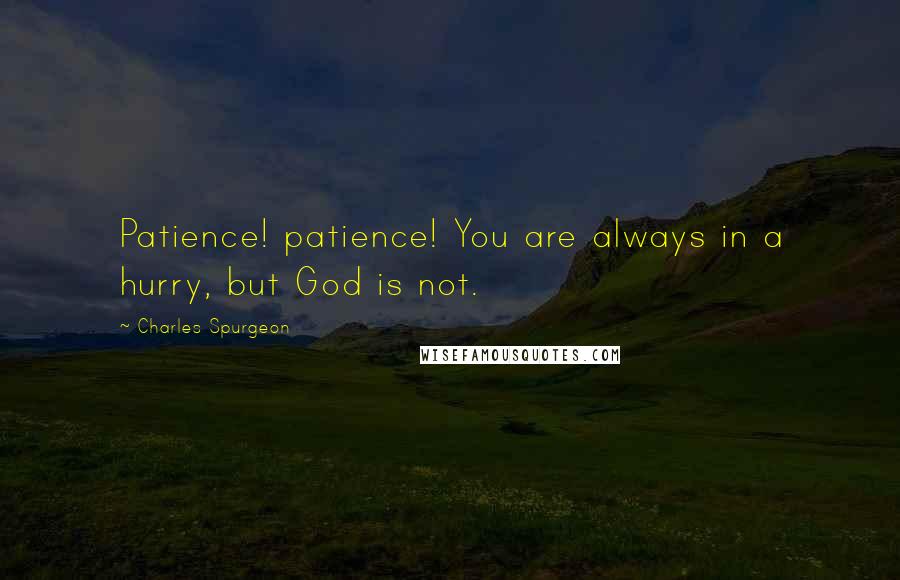 Charles Spurgeon Quotes: Patience! patience! You are always in a hurry, but God is not.