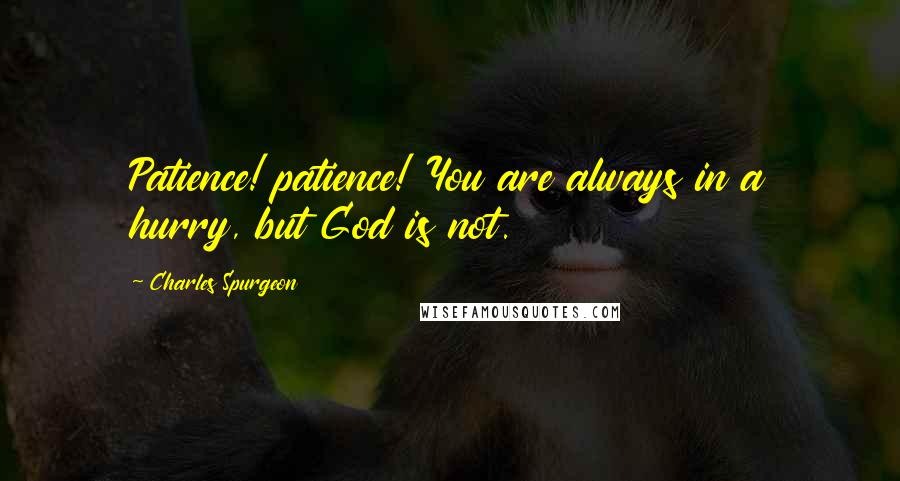 Charles Spurgeon Quotes: Patience! patience! You are always in a hurry, but God is not.