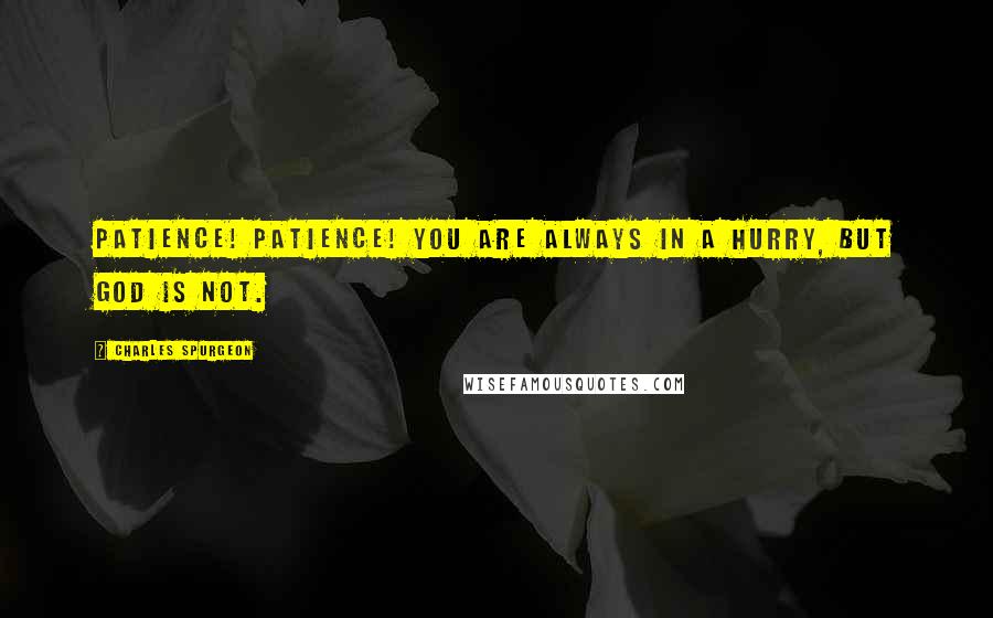 Charles Spurgeon Quotes: Patience! patience! You are always in a hurry, but God is not.