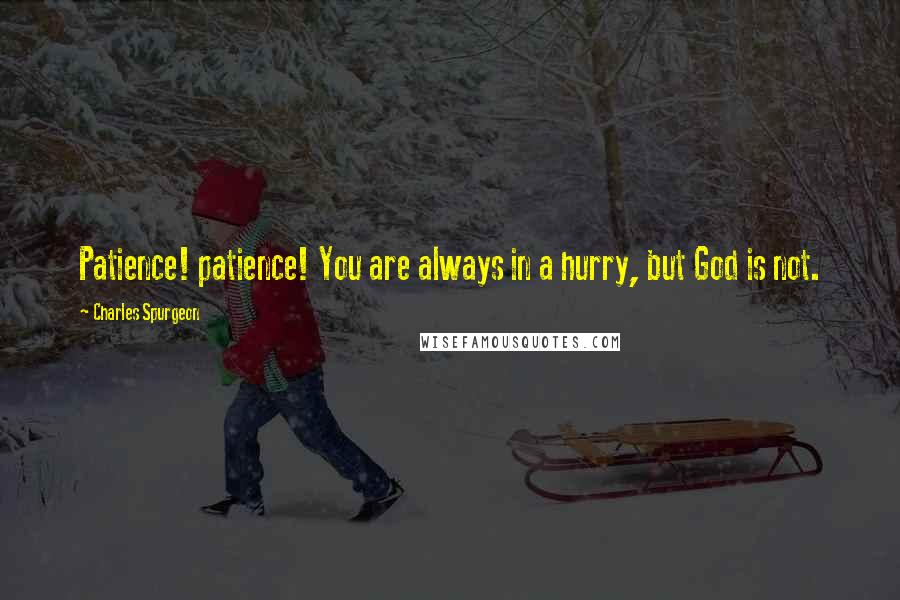 Charles Spurgeon Quotes: Patience! patience! You are always in a hurry, but God is not.