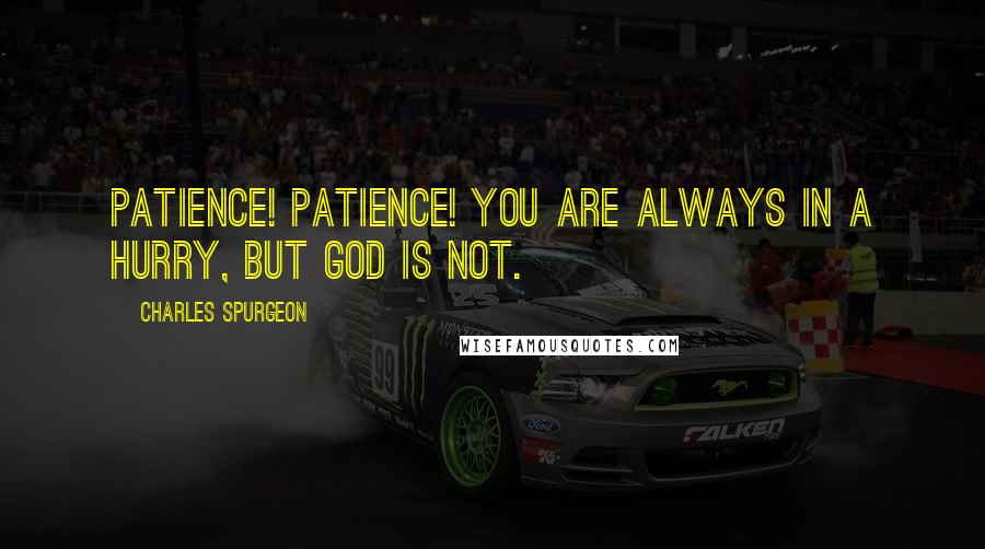 Charles Spurgeon Quotes: Patience! patience! You are always in a hurry, but God is not.