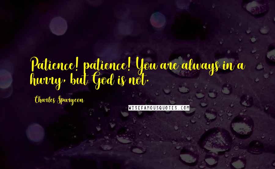 Charles Spurgeon Quotes: Patience! patience! You are always in a hurry, but God is not.