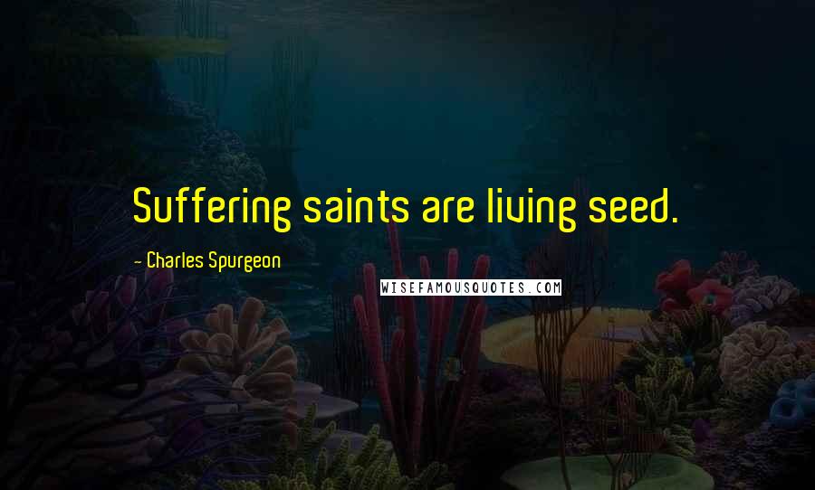 Charles Spurgeon Quotes: Suffering saints are living seed.