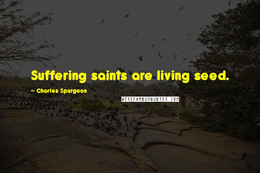 Charles Spurgeon Quotes: Suffering saints are living seed.