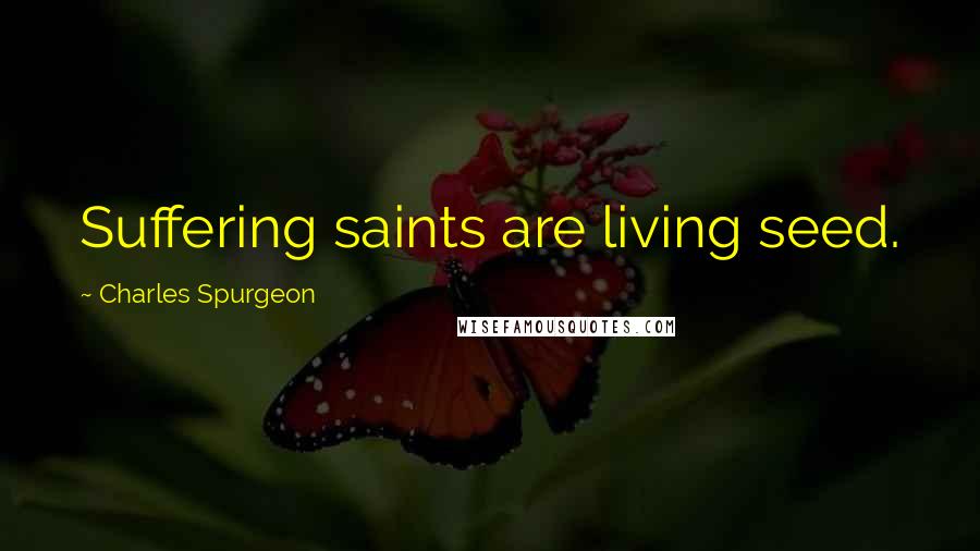 Charles Spurgeon Quotes: Suffering saints are living seed.