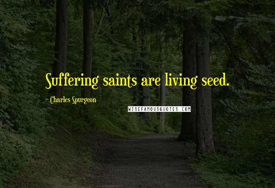 Charles Spurgeon Quotes: Suffering saints are living seed.