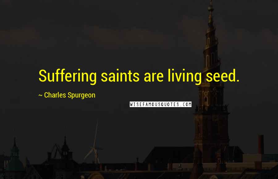 Charles Spurgeon Quotes: Suffering saints are living seed.