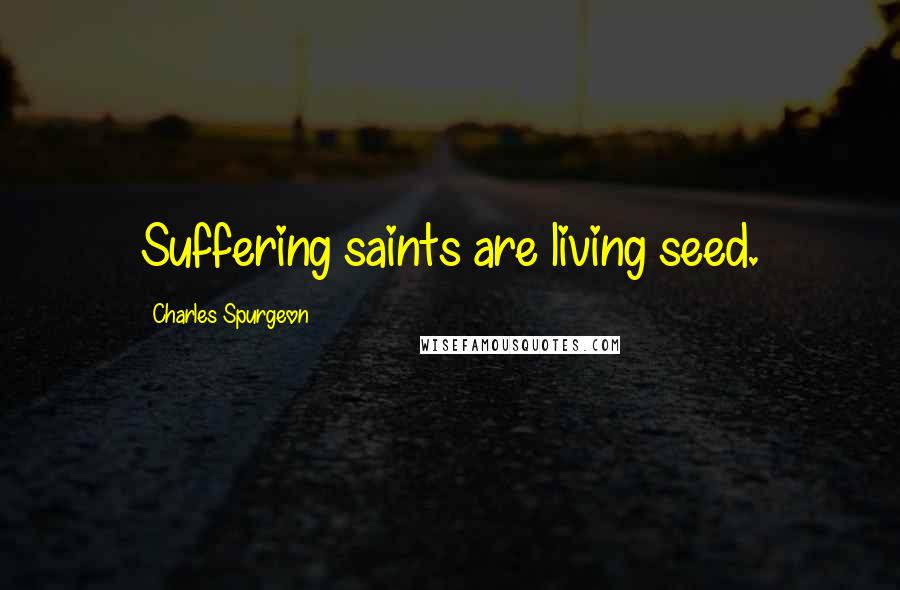 Charles Spurgeon Quotes: Suffering saints are living seed.