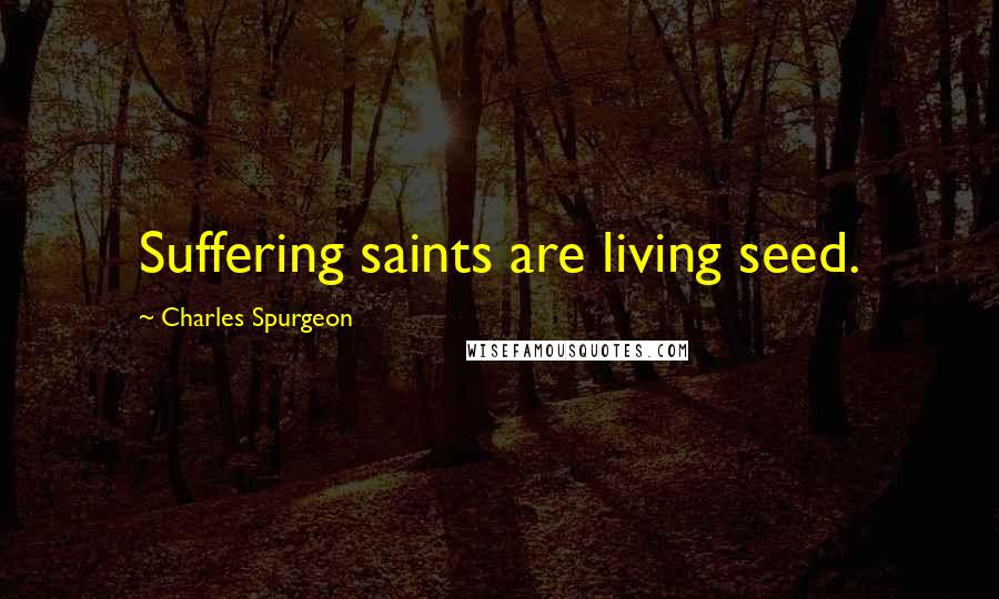 Charles Spurgeon Quotes: Suffering saints are living seed.