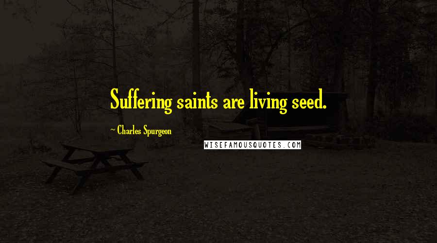 Charles Spurgeon Quotes: Suffering saints are living seed.