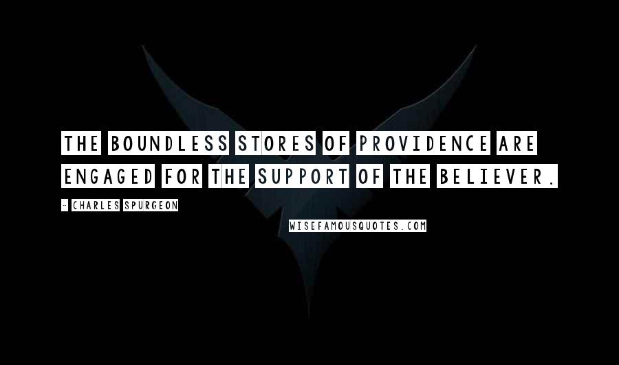 Charles Spurgeon Quotes: The boundless stores of Providence are engaged for the support of the believer.