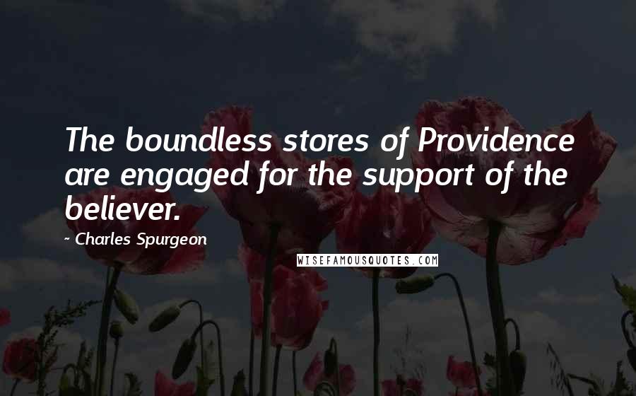 Charles Spurgeon Quotes: The boundless stores of Providence are engaged for the support of the believer.