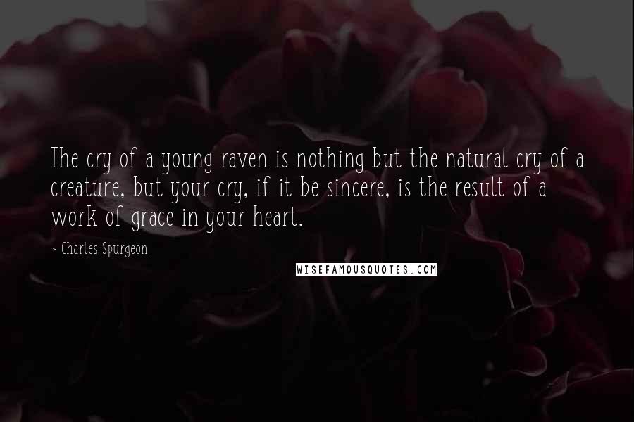 Charles Spurgeon Quotes: The cry of a young raven is nothing but the natural cry of a creature, but your cry, if it be sincere, is the result of a work of grace in your heart.