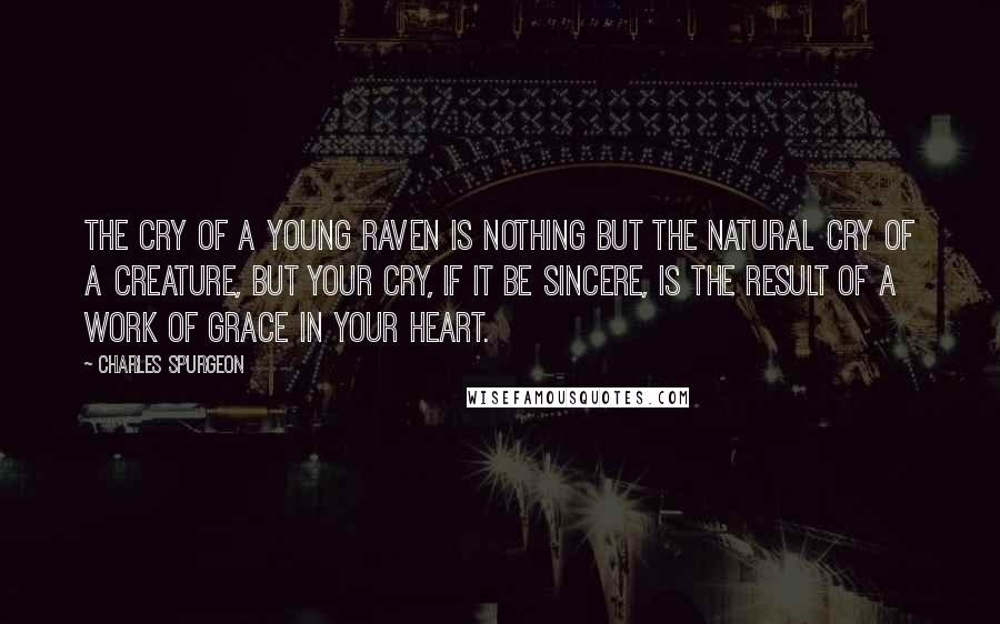 Charles Spurgeon Quotes: The cry of a young raven is nothing but the natural cry of a creature, but your cry, if it be sincere, is the result of a work of grace in your heart.