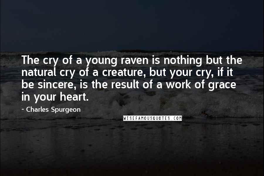 Charles Spurgeon Quotes: The cry of a young raven is nothing but the natural cry of a creature, but your cry, if it be sincere, is the result of a work of grace in your heart.