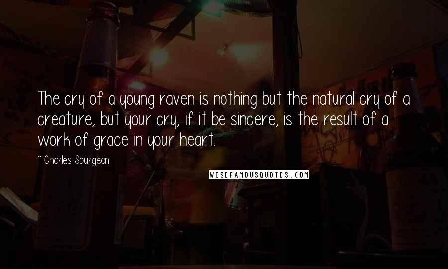 Charles Spurgeon Quotes: The cry of a young raven is nothing but the natural cry of a creature, but your cry, if it be sincere, is the result of a work of grace in your heart.