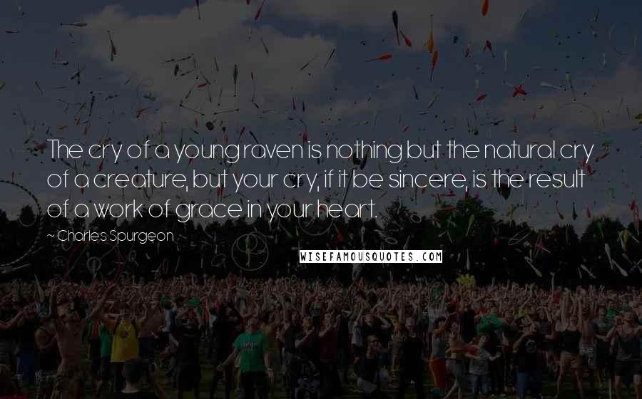 Charles Spurgeon Quotes: The cry of a young raven is nothing but the natural cry of a creature, but your cry, if it be sincere, is the result of a work of grace in your heart.